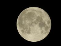 Imagine atasata: Luna - 2016.11.15 - 03.jpg